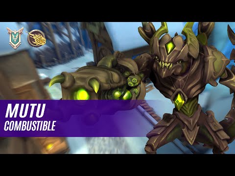 Mutu Drogoz PALADINS COMPETITIVE (PRO PLAYER) COMBUSTIBLE