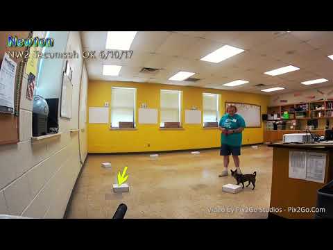 NW1 TecumsehOK Newton Cont1