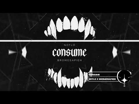 NotLö x BroMosapien - Consume