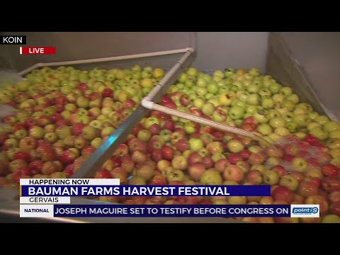 Fall fun at Bauman's Harvest Festival