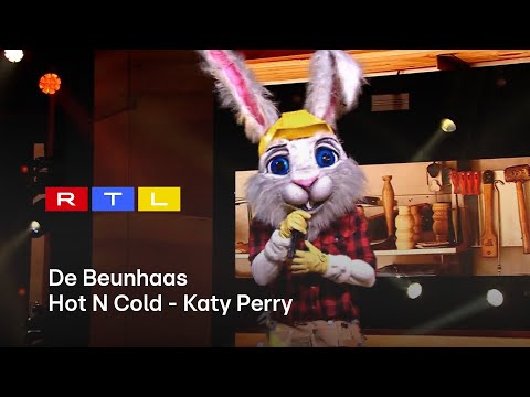 De Beunhaas laat het panel Hot n’ Cold met verfrissend optreden | The Masked Singer