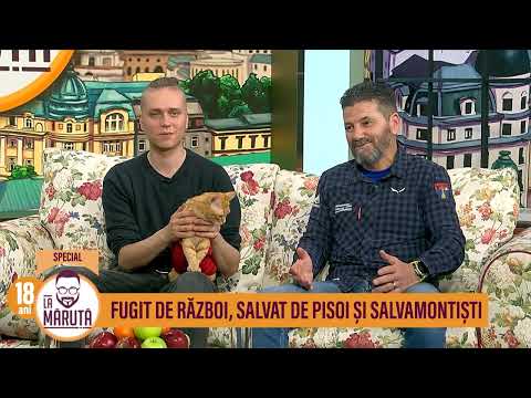 Миниатюра видео