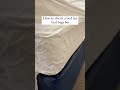 How To Check A Bed For Bed Bugs