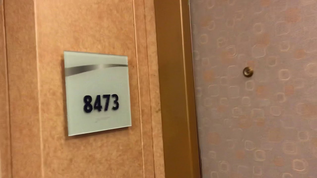 Carnival Dream - Cabin 8473 - Video 2