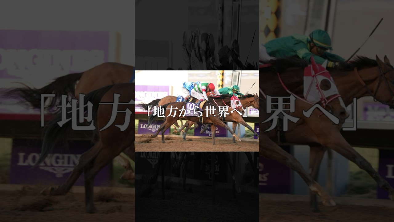 地方で無双し世界を制す。あなたの勝負根性に夢を託した。#マルシュロレーヌ #競馬 #shorts
