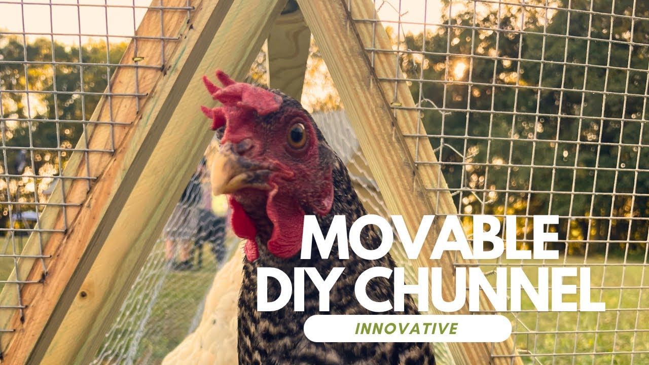 DIY Chicken Tunnel: Step-by-Step Guide to Building a Movable Chunnel