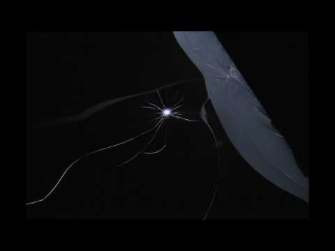 Reparando Samsung TV LCD no se enciende Sin imagen pantalla oscura Capacitores son malos