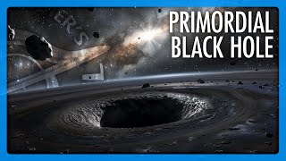 Should we Search for Primordial Black Holes in Our Solar System?