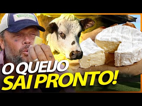 , title : 'NORMANDA, A VACA QUE FAZ O MELHOR QUEIJO DO MUNDO! | RICHARD RASMUSSEN'