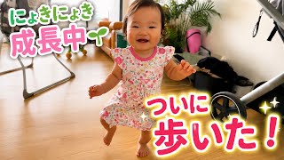 ついに歩いた!👣✨娘の人生初の一歩に感動..🥺
