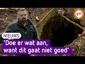 Dassen zorgen voor problemen A50