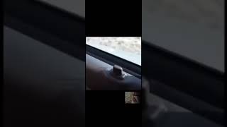 Download lagu Ketika lu kentut di mobil🤨 mp3