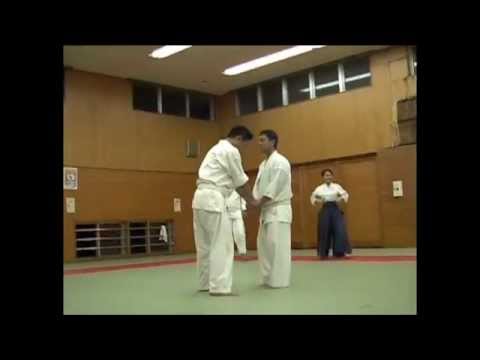 投げ技 健心流柔術