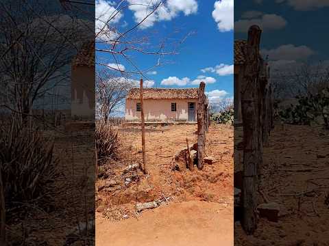 às belas imagens do nordeste,, zona rural de Tavares Paraíba!