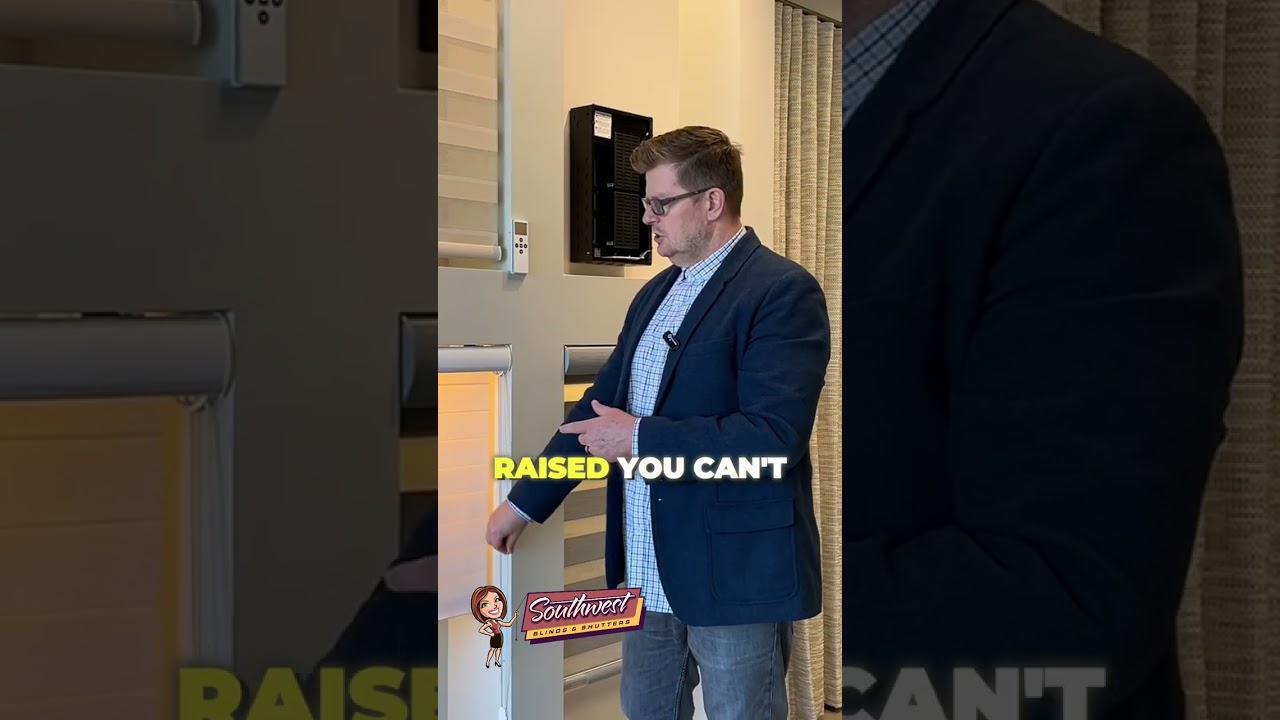 Zebra Shade Alternative: The Ultimate Sheer Window Shade | Southwest Blinds & Shutters