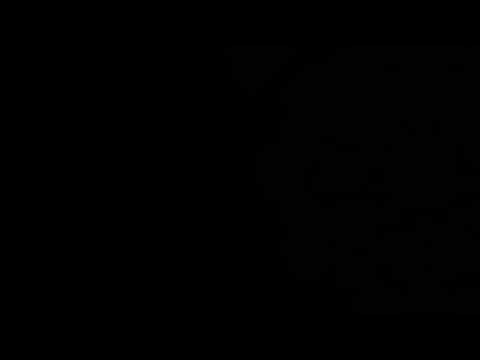 Friday Night Service, Central Synagogue - January 30, 2026