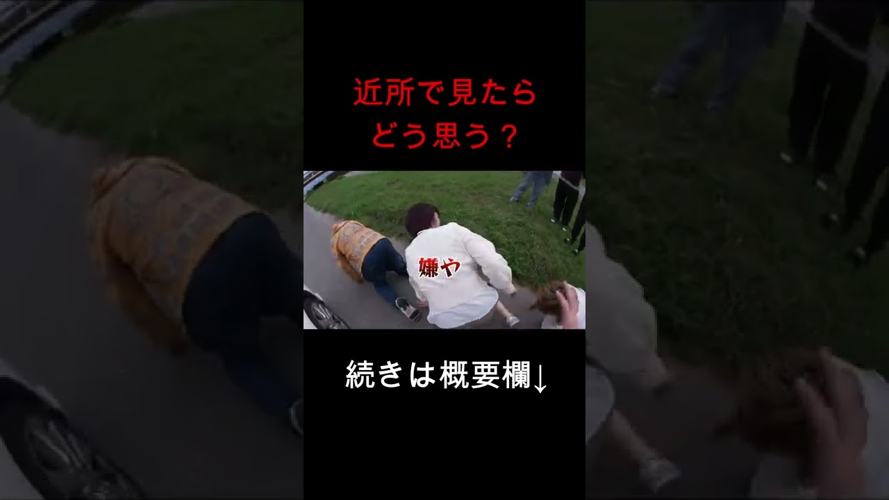 近所でコレを見かけたらどうする...？ #shorts #桐崎栄二 #虫眼鏡