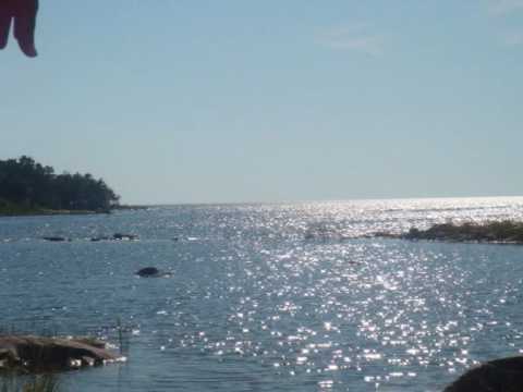 Den underbara sommaren