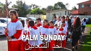 preview picture of video 'Palm Sunday Mass  قداس عيد السعانين'