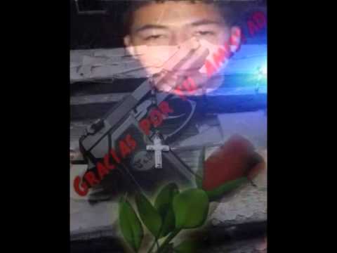 Joaquin cibrian aka el cruzador perron Q.E.P.D