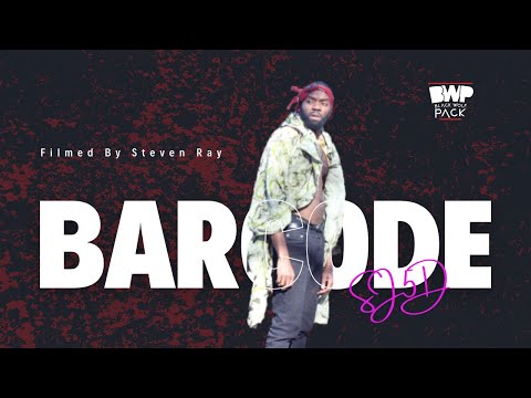 Barcode - SJ5D (Visual ART) 2012