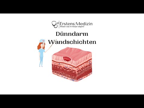 Dünndarm Wandschichten