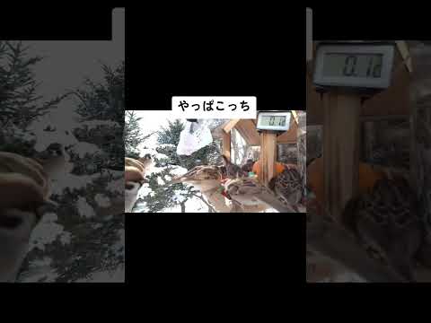 クーヴェ諸島鳥類保護区 - 定義