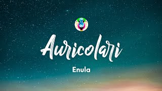 AURICOLARI... Music Video