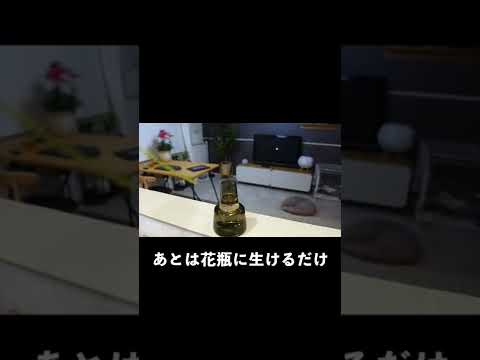 アジサイの開花を長持ちさせる方法 夏にアジサイの世話をするためのアクション