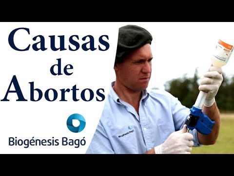 , title : 'Causas de abortos en Bovinos- Biogénesis Bagó'