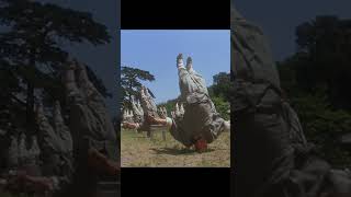 Download lagu Tai Chi Master. Jet Li and Chin Siu-ho. Body Strengthening. Footwork. Eating Healthily. #jetli mp3