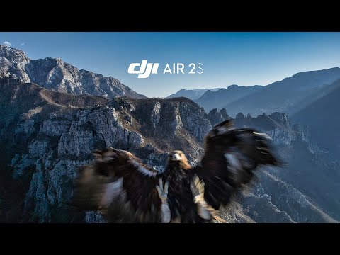 Eagle Attacking My Drone 🦅 insane Footage | DJI Air 2s