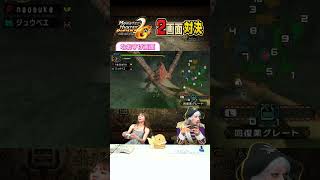 【MHP2G】初めてのイャンクック