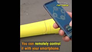 Social Media Ads - Fish Seeker v1 (2020)