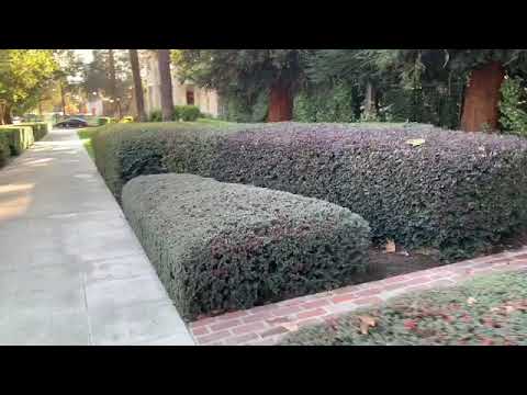 Why The City Of Claremont Is The Best To Live/Work/School