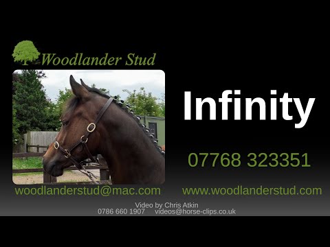 Woodlander Stud: Infinity by In My Mind