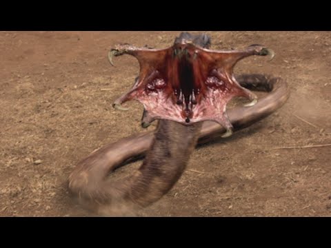 Nifuratet da lyambliya I vermi di quello che hanno paura