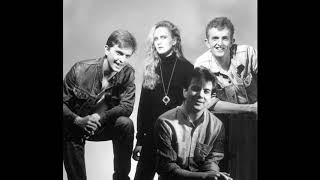 Saturday Live, BBC Radio 1, 1984: 'Diana'