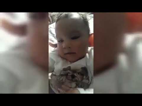 taku elbasani & per samanten. e vogel