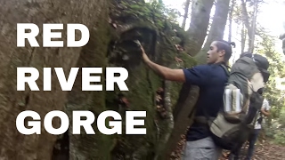 preview picture of video 'Red River Gorge Trip 2016 - GoPro'