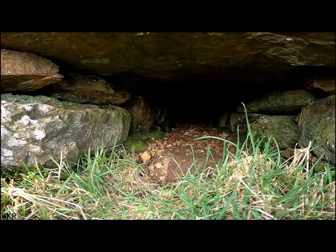 ABANDONED Scottish 1700's History - Hidden Under WILD Lands