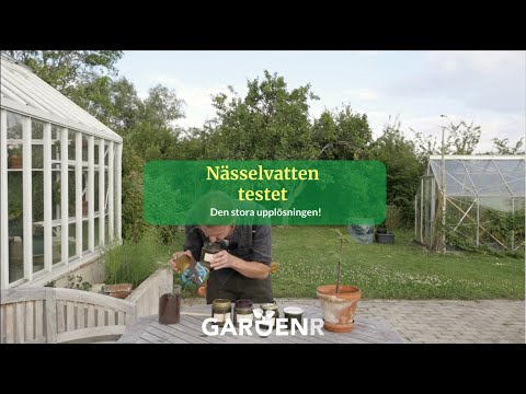 Nässelvattentestet, den spännande upplösningen - Trädgårdshacks med GardenR