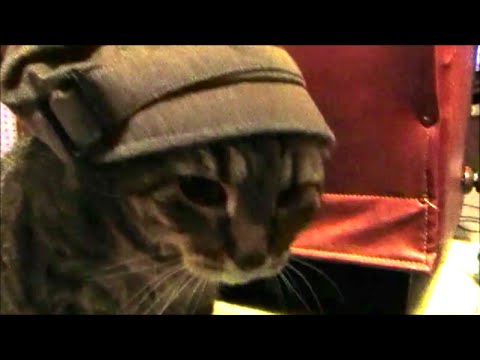 jacks hat(10.14.15) day840