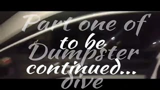 Dumpster dive part 1 Ross,Tj Maxx, Dollar Tree, Sprint Wireless and running a RED LIGHT!!