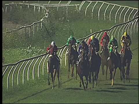 Galoppo 29/07/2016 - 5° corsa