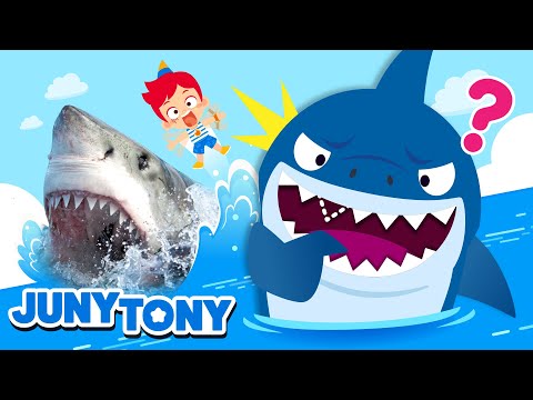 *NEW* Sharks, Assemble! | Fun Facts About Sharks | Animal Songs | Kids Songs & Stories | JunyTony