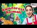 Rainforest Animals For Toddlers | Miss Sarah Sunshine | Educational Videos For Toddlers