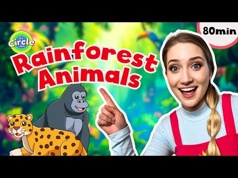 Rainforest Animals