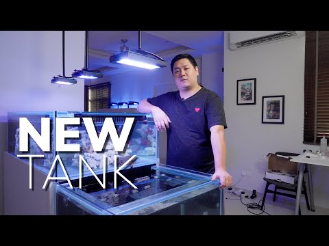 250G Saltwater Predator Tank! Dual display Reef tank with a Waterfall?!