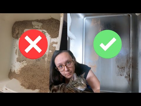 Use my 5 min/week litter cleaning routine